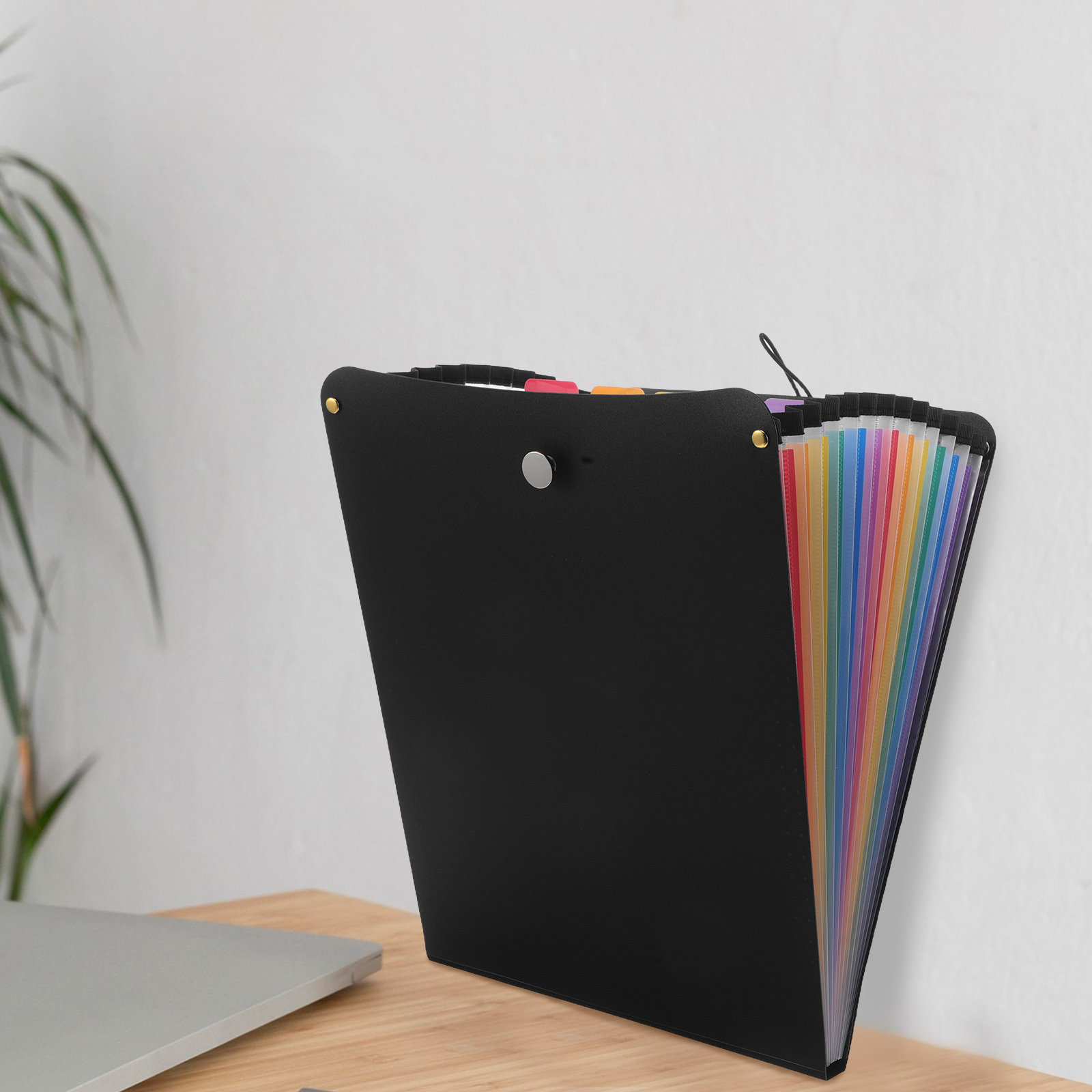 A4 Accordion File Organizer 13 - огляд і ціна Expandable Accordion File Folder 13 Pockets
